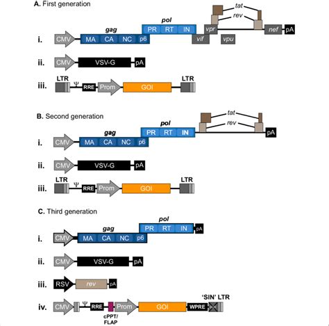 lv virus|first generation lentiviral vector.